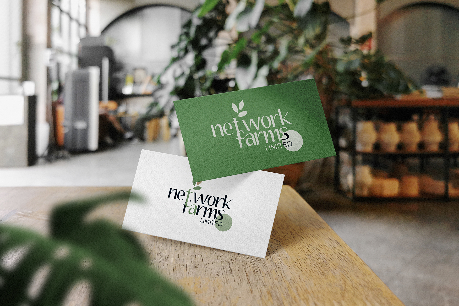 logo design